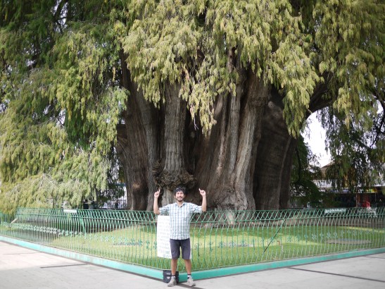 I feel so small.....