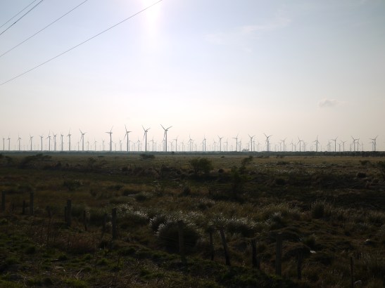 The windmills outside La Ventosa...... uggghhhhh......