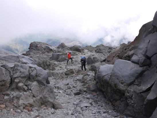 The labyrinth, and us.