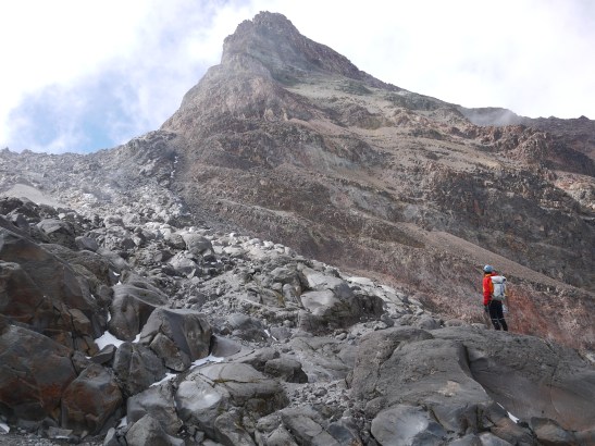 Always looking for the next adventure.